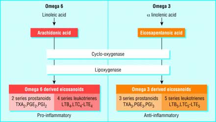 Omega 3 e infiammazione