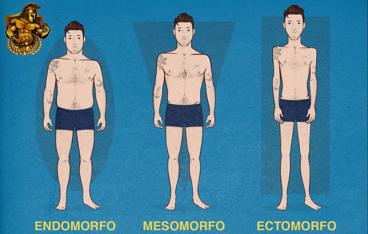 Somatotipo: cos’è e come scoprire a quale appartieni (+ test)