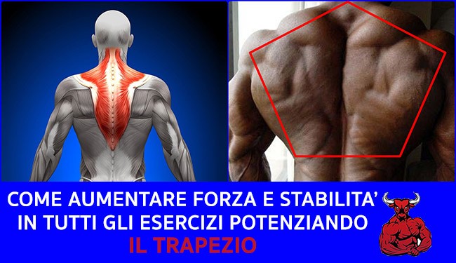 Come aumentare forza e stabilità in tutti gli esercizi potenziando il trapezio