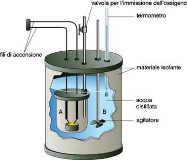 conteggio calorico diete