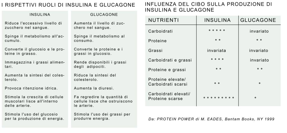 calcolo calorie 