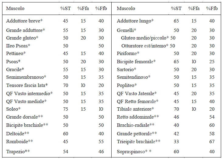  ESERCIZI PER AUMENTARE LA MASSA MUSCOLARE