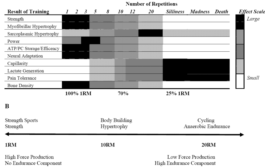 ipertrofia muscolare come ottenerla