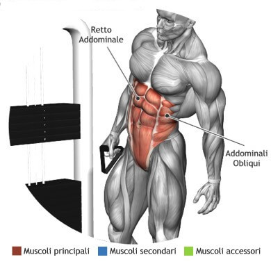 addominali obliqui esercizi 