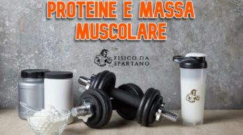 proteine per aumentare massa muscolare