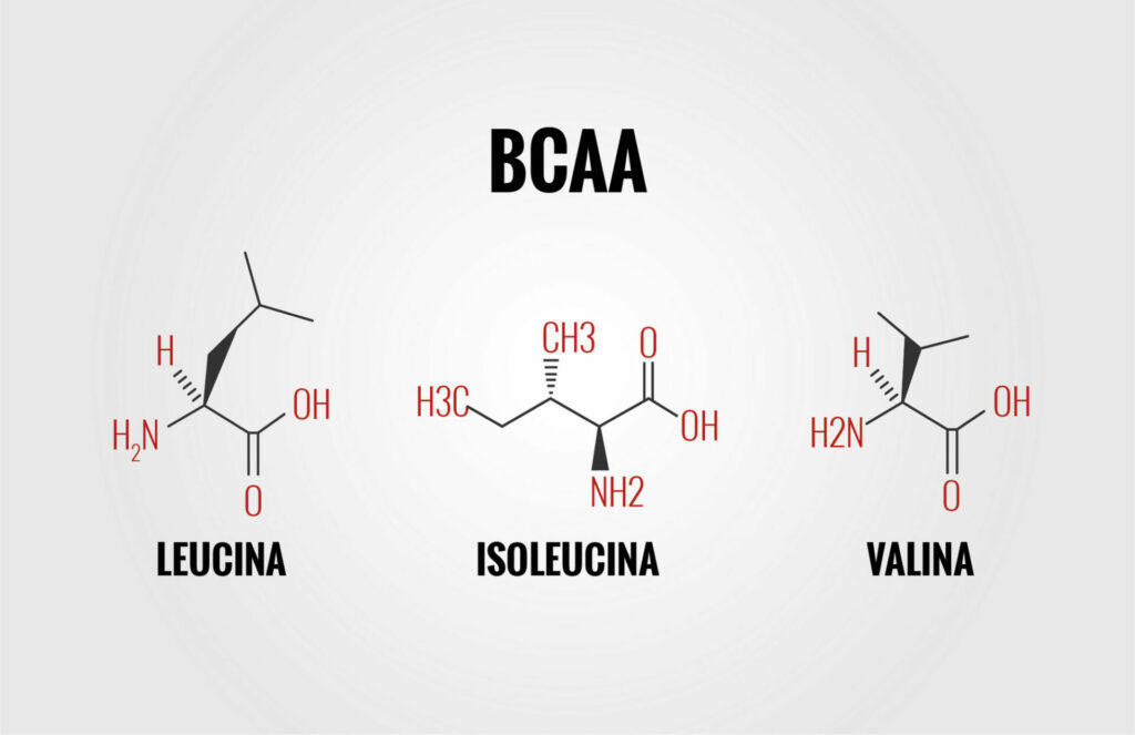 integratori per massa muscolare naturali 