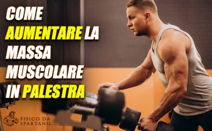 massa in palestra