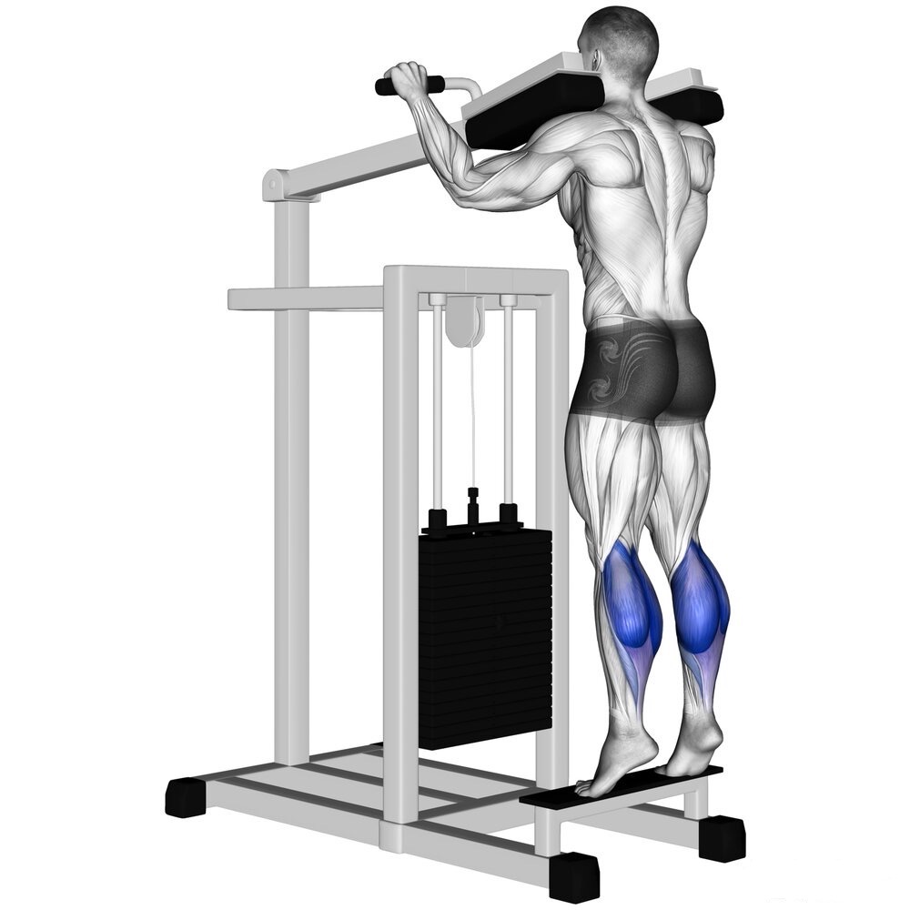 Calf raises massa polpacci