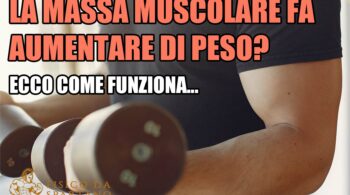 massa muscolare fa aumentare di peso 