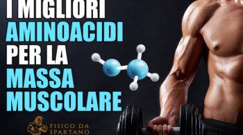 I MIGLIORI AMINOACIDI PER LA MASSA MUSCOLARE