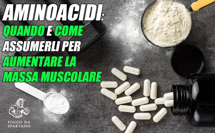 Aminoacidi: quando e come assumerli per aumentare la massa muscolare