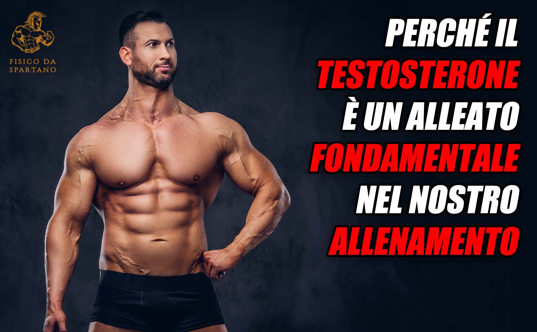 Perché il testosterone è un alleato fondamentale nel nostro allenamento