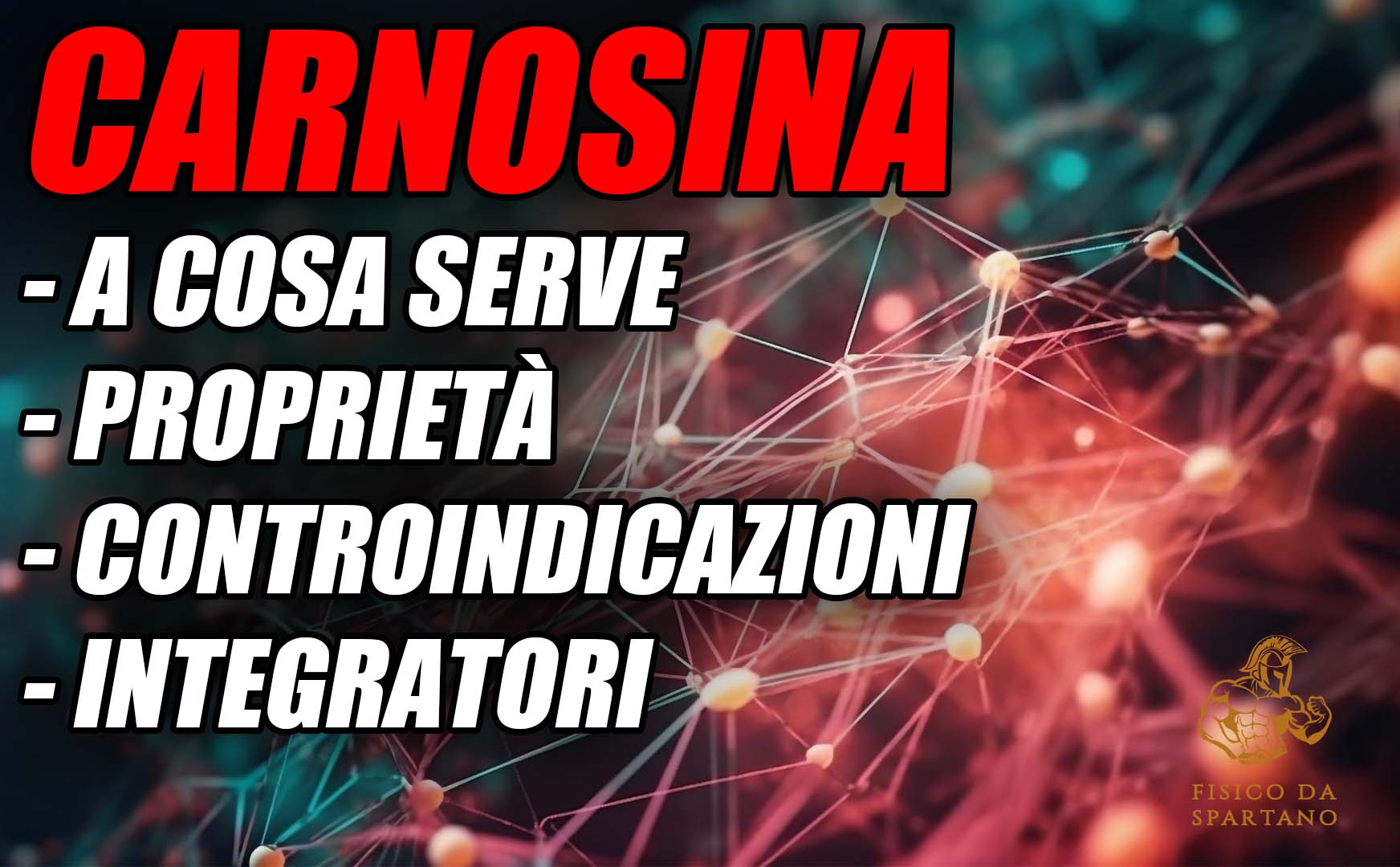 Carnosina: a cosa serve, controindicazioni, proprietà e integratori