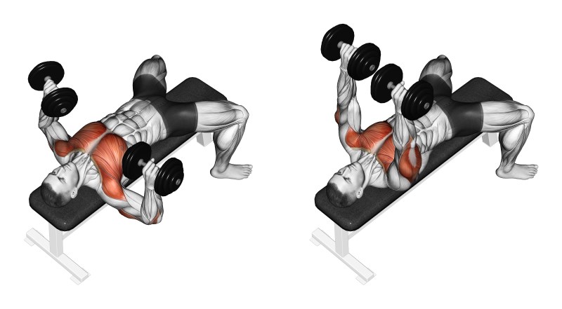 muscoli coinvolti nella panca piana con manubri